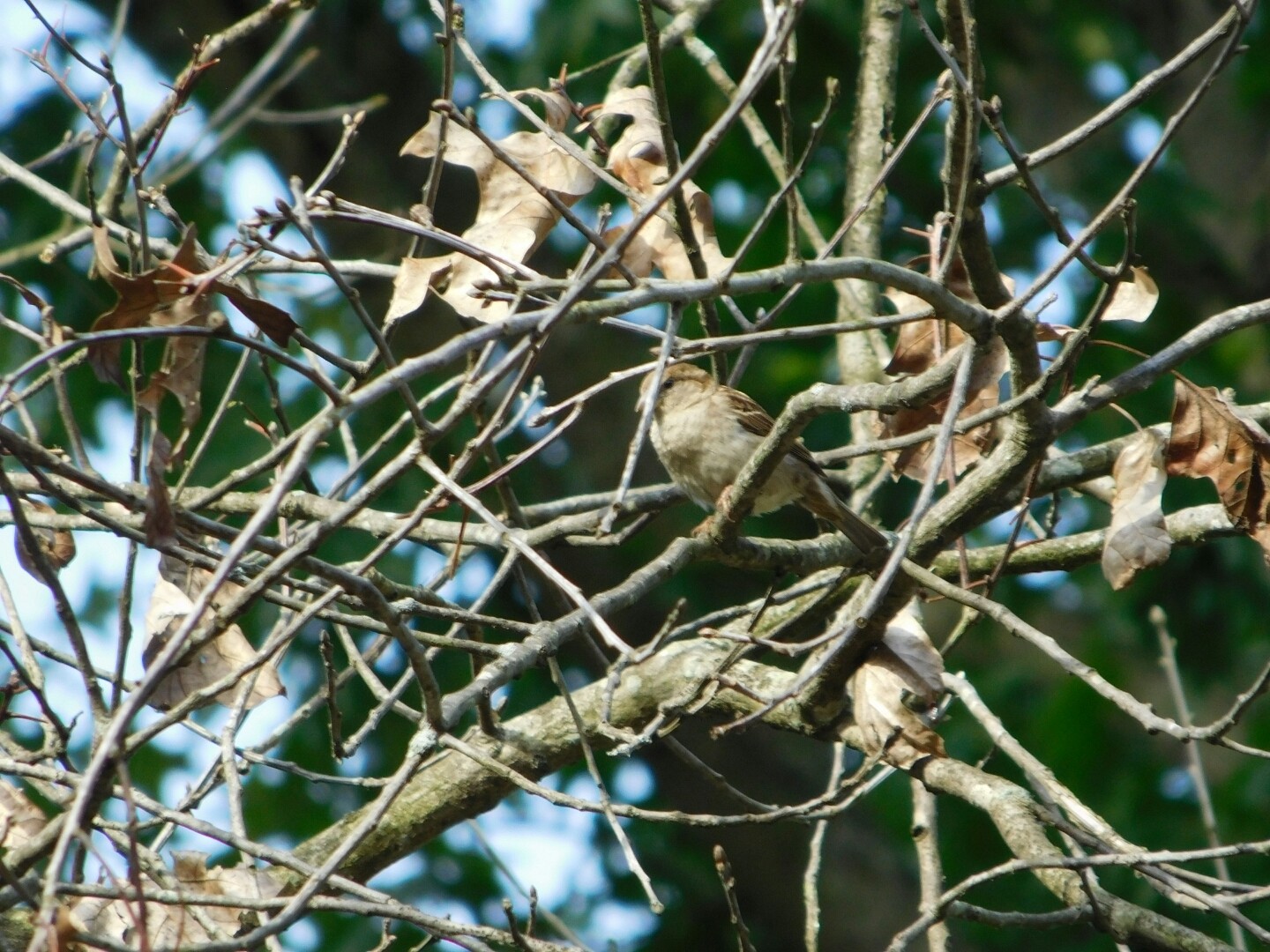 DSCN8845.JPG