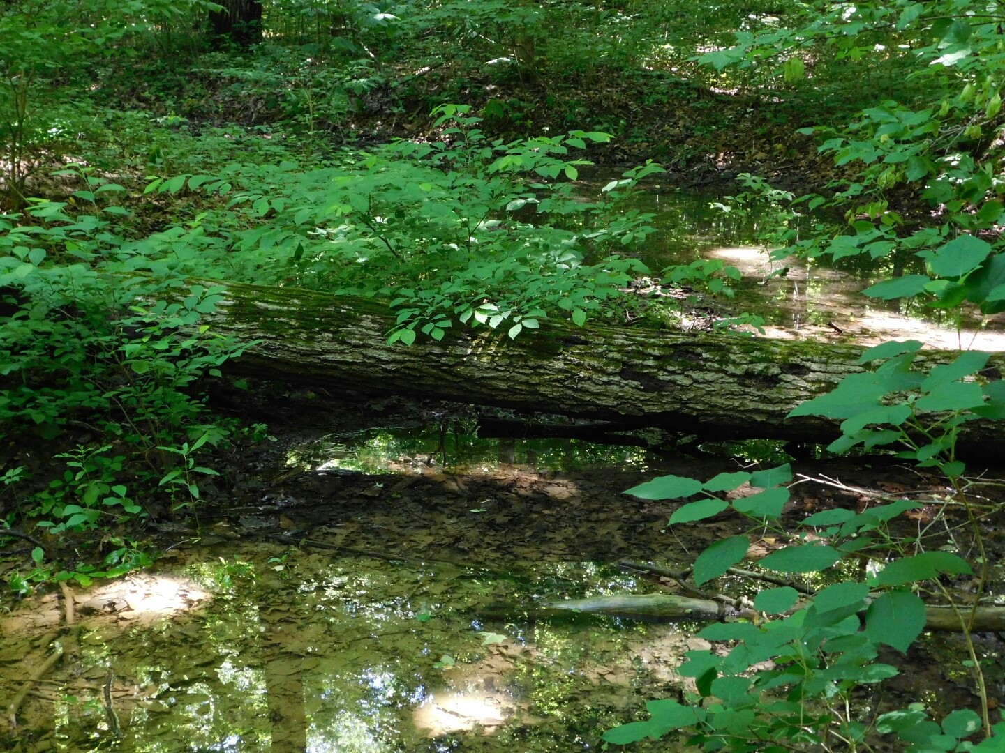 DSCN8857.JPG