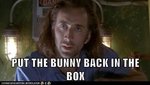 put-the-bunny-back-in-the-box.jpeg