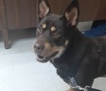 20200925_132417.jpg 20200925_132417.jpg