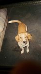 IMG-20200702-WA0004.jpeg