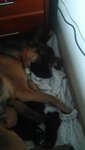 IMG_20201105_075607_923.jpg
