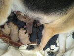 IMG_20201104_154722185.jpg