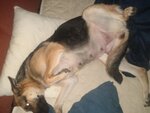 IMG_20201103_173840161.jpg