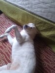 IMG_20201029_135009286.jpg