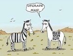 upgrade-zebra.jpeg