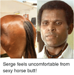 serge-feels-uncomfortable-from-sexy-horse-butt-4133070.png