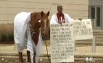 horse_protest_gay_marriage_converted.jpg