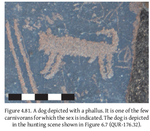 DogPhallusFigure4.81.png