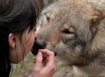 tumblr_static_tumblr_mfsubw9ds21rwcfrqo1_r1_1280_[wolveswolves].jpg