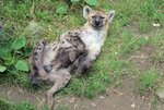 IMG_20201202_213522_274.jpg