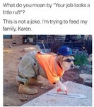 39-funny-animal-memes-that-are-impawsible-not-to-laugh-at-01-1.jpg