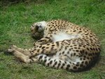 DSC05784-me.jpg