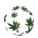 weed.gif