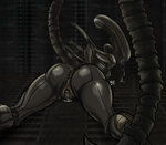 armiv-651867-Xenomorph - Copy.jpg