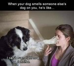 FB_IMG_1613375951612.jpg