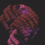 giphy(1).gif