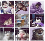 442E8094-1C53-4F0A-933C-626BCDDBAEB1.png