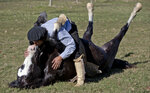 zf--4hooves--yPxCNfM.jpg