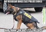 Funny-Dog-Cop-Meme.jpeg