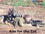german shepherd and snipert.jpg