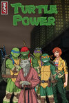 _earth_27_covers__turtle_power_by_roysovitch_ddtng42-fullview.jpg