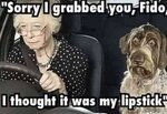 dog and grany.jpg