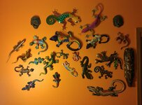 20160301_114101-1.jpg