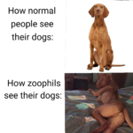 1624026246308.png