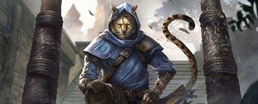 73-730012_elder-scrolls-khajiit-art.jpg