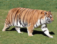 1625168910600.png