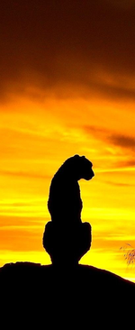 3CDF285E-3AD6-4062-84FD-3B6DFC479E67.png