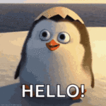 tenor (1).gif