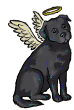 89106662-a2ceca00-d3f9-11ea-8343-b879ef6890a6.gif