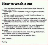 How to wash your cat.jpg
