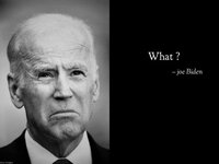 Bidens.jpg