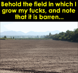 barren2.png