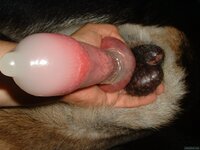 beast-condom-dog-penis-cum.jpg