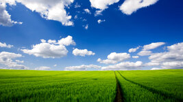 road_greens_grass_sky_clouds_traces_658_1366x768.jpg