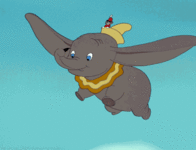 F179B5E5-7D36-4B93-9146-1E58DD14E95E.gif