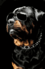 1633989666133.gif