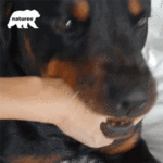 1633991015373.gif
