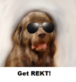 1634019810169.png