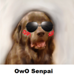 1634020283159.png