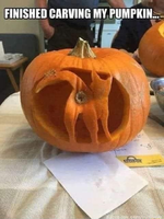 catasspumpkin.png