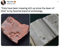 cat archeology.png