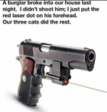 gun laser cats.png