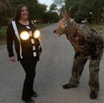 deer headlights.png