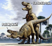 1634869720375.png