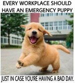 FB_IMG_1635052691289.jpg